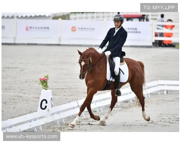伊朗马术队在巴黎奥运会盛装舞步赛中获得第八名，成绩可圈可点。
